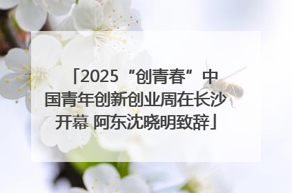 2025“创青春”中国青年创新创业周在长沙开幕 阿东沈晓明致辞
