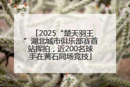 2025“楚天羽王”湖北城市俱乐部赛首站挥拍，近200名球手在黄石同场竞技