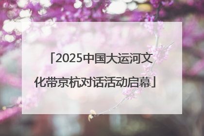 2025中国大运河文化带京杭对话活动启幕