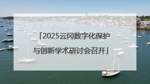 2025云冈数字化保护与创新学术研讨会召开