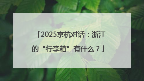 2025京杭对话：浙江的“行李箱”有什么？