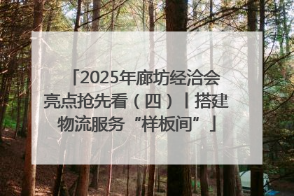 2025年廊坊经洽会亮点抢先看（四）丨搭建物流服务“样板间”