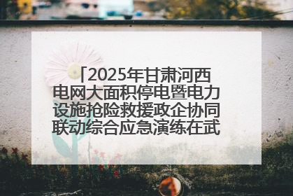 2025年甘肃河西电网大面积停电暨电力设施抢险救援政企协同联动综合应急演练在武威成功举行