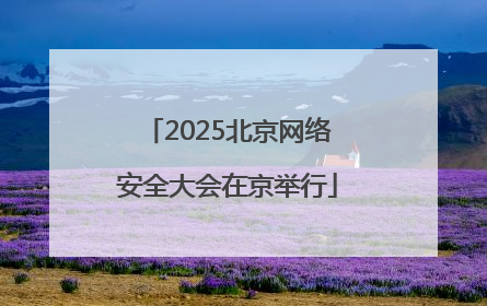 2025北京网络安全大会在京举行