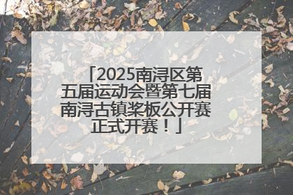 2025南浔区第五届运动会暨第七届南浔古镇桨板公开赛正式开赛！