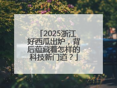 2025浙江好西瓜出炉，背后蕴藏着怎样的科技新门道？