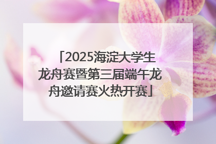 2025海淀大学生龙舟赛暨第三届端午龙舟邀请赛火热开赛