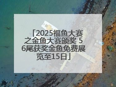 2025福鱼大赛之金鱼大赛颁奖 56尾获奖金鱼免费展览至15日