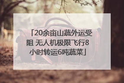 20余亩山蔬外运受阻 无人机极限飞行8小时转运6吨蔬菜