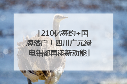 210亿签约+国牌落户！四川广元绿电铝都再添新动能