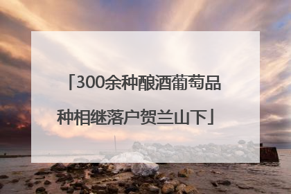 300余种酿酒葡萄品种相继落户贺兰山下