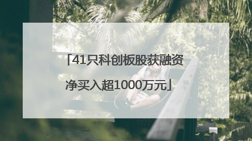 41只科创板股获融资净买入超1000万元