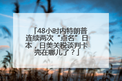 48小时内特朗普连续两次“点名”日本，日美关税谈判卡壳在哪儿了？