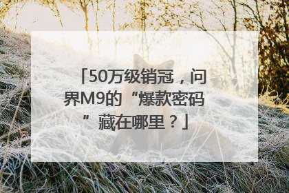 50万级销冠，问界M9的“爆款密码”藏在哪里？