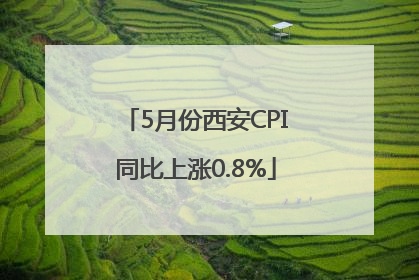 5月份西安CPI同比上涨0.8%