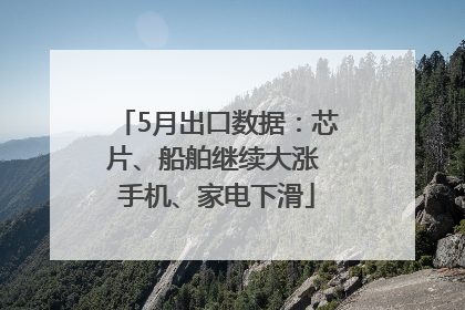 5月出口数据：芯片、船舶继续大涨 手机、家电下滑