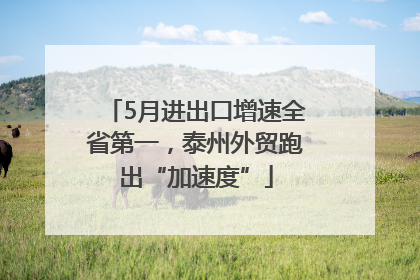 5月进出口增速全省第一，泰州外贸跑出“加速度”