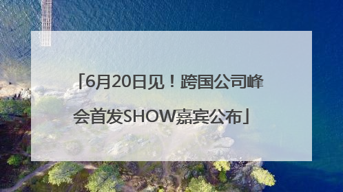 6月20日见！跨国公司峰会首发SHOW嘉宾公布