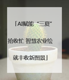 AI赋能“三夏”抢收忙 智慧农业绘就丰收新图景