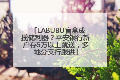 LABUBU盲盒成揽储利器？平安银行新户存5万以上就送，多地分支行跟进
