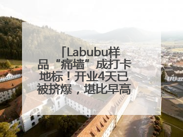 Labubu样品“痛墙”成打卡地标!开业4天已被挤爆,堪比早高峰菜市场