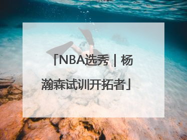 NBA选秀｜杨瀚森试训开拓者