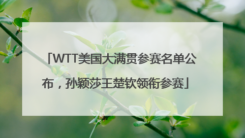 WTT美国大满贯参赛名单公布，孙颖莎王楚钦领衔参赛